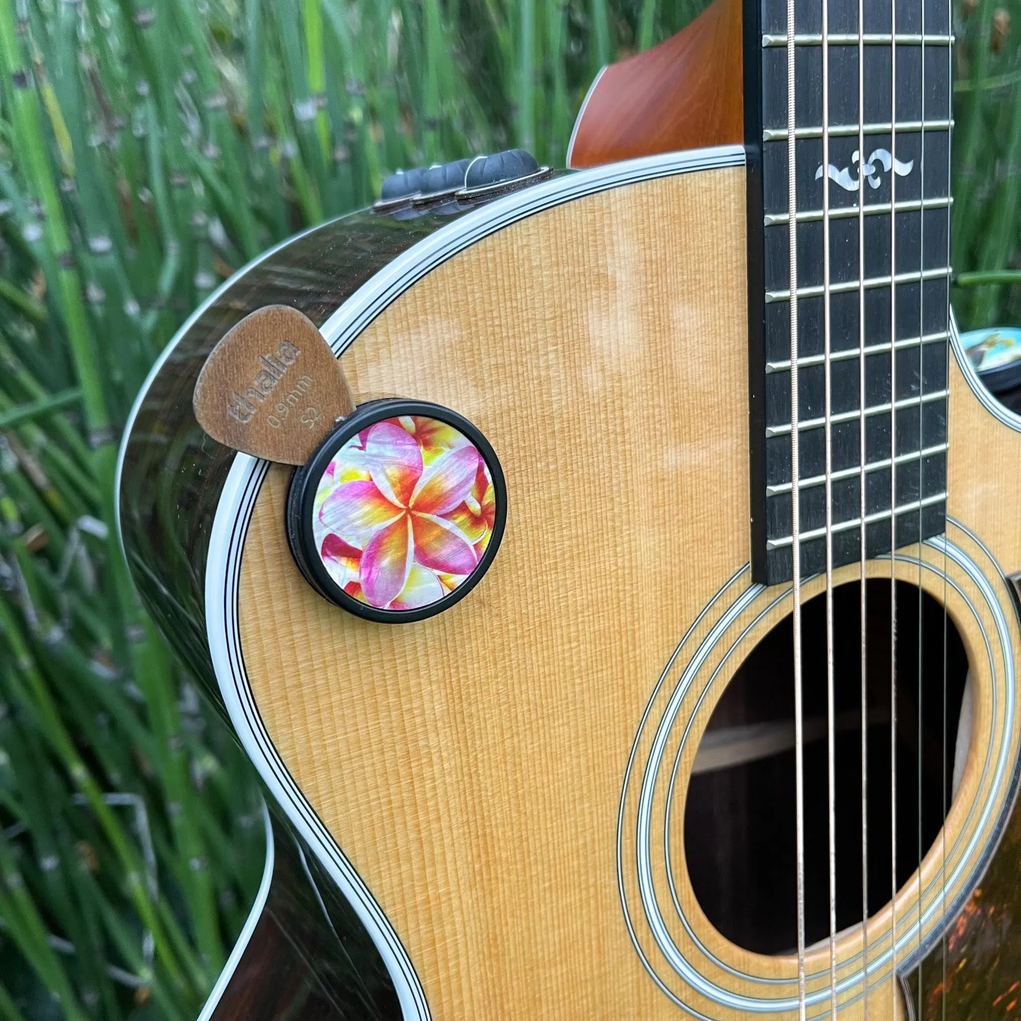 Plumeria on Pearl | Pick Puck 2.0