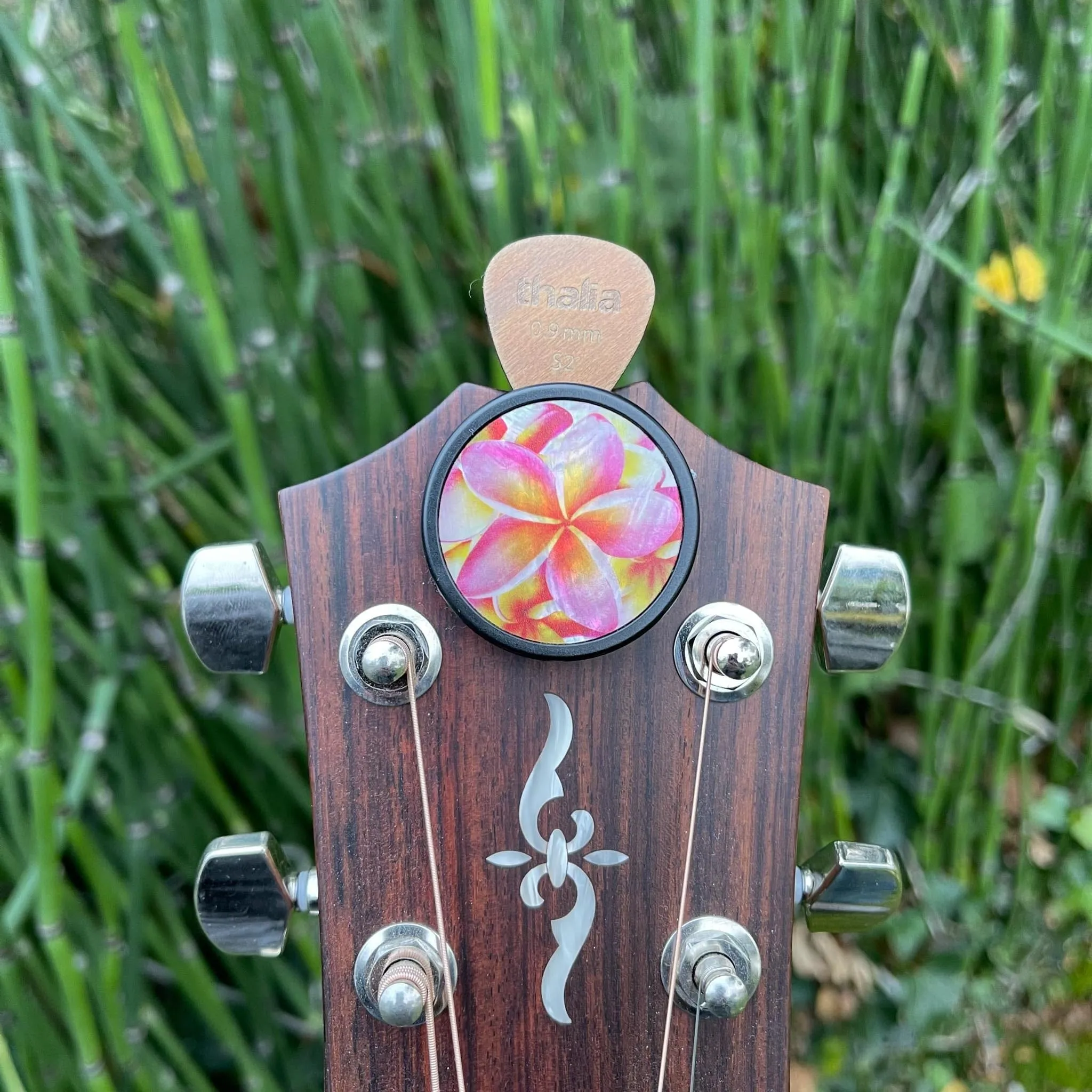 Plumeria on Pearl | Pick Puck 2.0