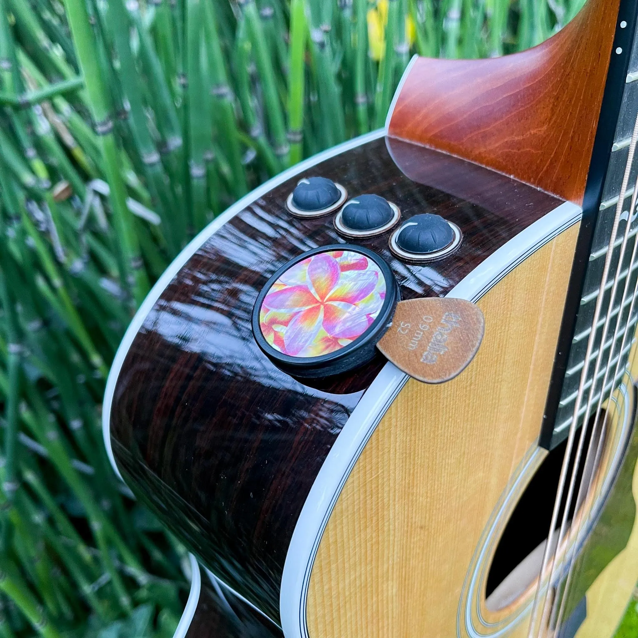 Plumeria on Pearl | Pick Puck 2.0